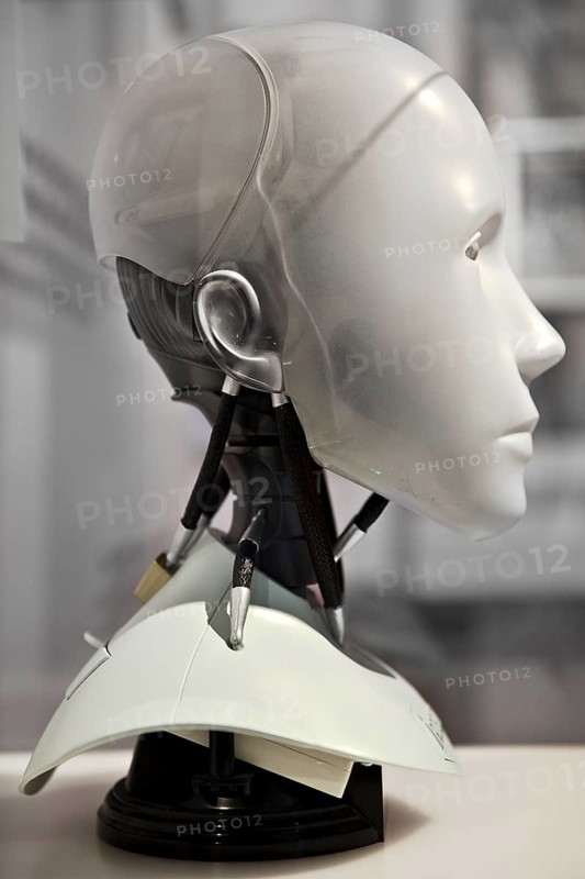 Head of the humanoid robot NS-5-Robot from the film I, Robot