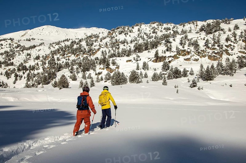 Two free skiers in vibrant gear traverse untouched alpine snow, surrounded by rugged peaks and evergreen trees under a clear blue sky A true freeride skiing adventure