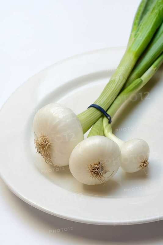 Onion, spring onions on a plate