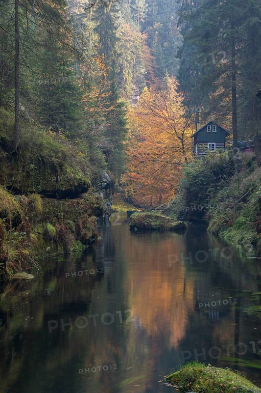 Log house and flowing water with ferns and rocks in the Edmunds Gorge in autumn. River Kamnitz, Hrensko, Ustecky kraj, Czech Republic