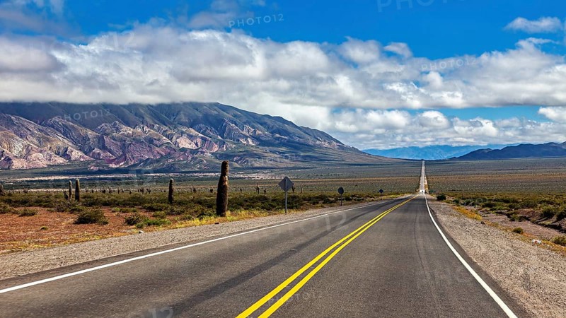 Long road leads through a desert-like landscape with mountains and cacti under a cloudy sky, The landscape of the Quebrada with its large cacti near Salta in Argentina, Cardón cactus (Echinopsis atacamensis)