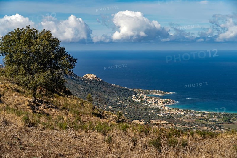 The village of Algajola and the coast seen from above, Balagne, Corsica, France