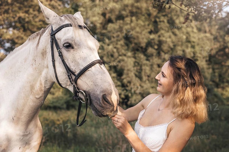 A young woman gently interacts with a white horse in a tranquil outdoor countryside environment. Sunlight filters through the trees, highlighting the connection between human and animal