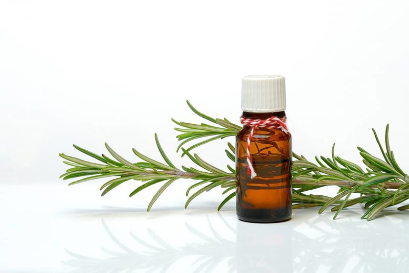 Rosemary oil in bottle and rosemary zest, medicinal plant