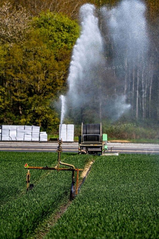 Artificial irrigation of a cereal field in April, with a sprinkler system, long dry spell in spring makes this necessary for the young plants to grow well, south of Straelen, Lower Rhine, North Rhine-Westphalia, Germany