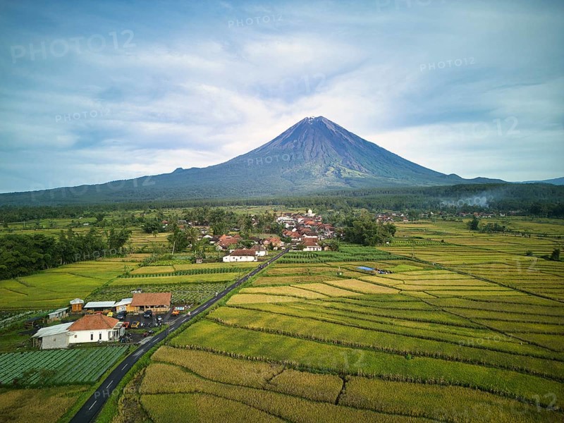 A breathtaking aerial view of Mount Semeru, the highest volcano on Java, and its surrounding vibrant green fields and rural landscape, under a clear sky