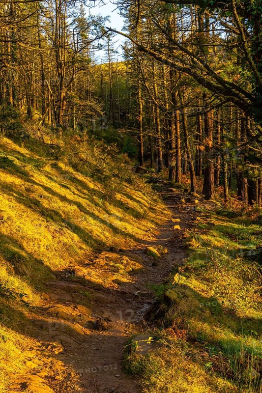 The trail at sunset of Mount Adarra in the town of Urnieta near San Sebastian, Gipuzkoa. Basque Country