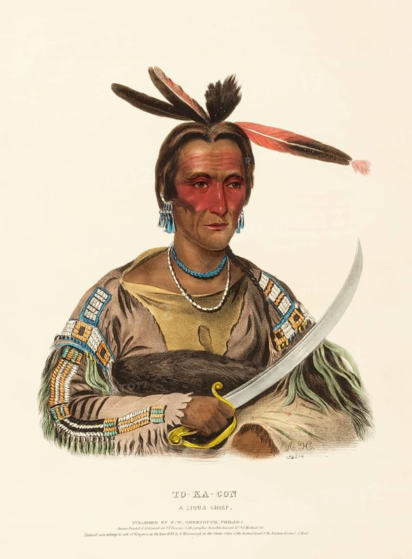 To-Ka-Con. A Sioux Chief (1838), Indians, Historical Indian tribes from North America, Charles Bird King (1785, 1862), Historical, digitally restored reproduction from a 19th century original, Record date not stated
