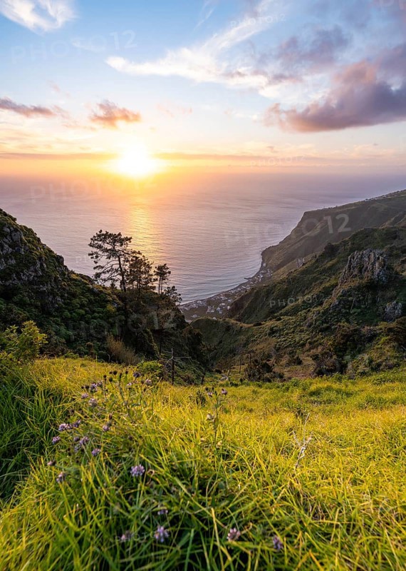 Evening mood, green coastal landscape on a steep cliff at sunset, sea and coast, viewpoint Miradouro da Raposeira, Paul do Mar, Madeira, Portugal