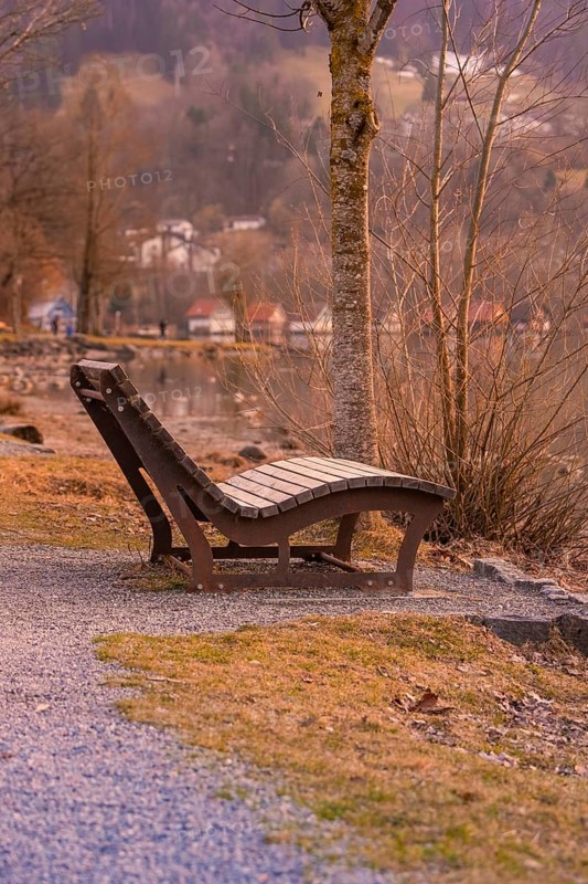Wooden chair on the lakeside in autumnal weather, quiet atmosphere with warm light, Großer Alpsee, Immenstadt im Allgäu, Bavaria, Germany