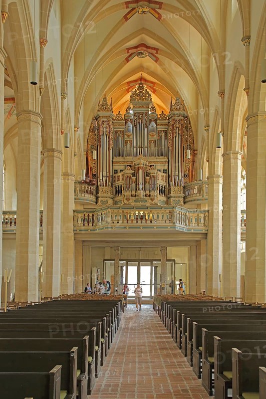 View of the organ of the Gothic Predigerkirche, interior view, gallery, Erfurt, Thuringia, Germany