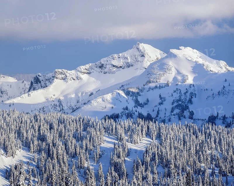 The Tatoosh Range in Mount Rainier National Park glows under late afternoon light, with freshly fallen snow covering the rugged peaks and dense evergreen forest in winter