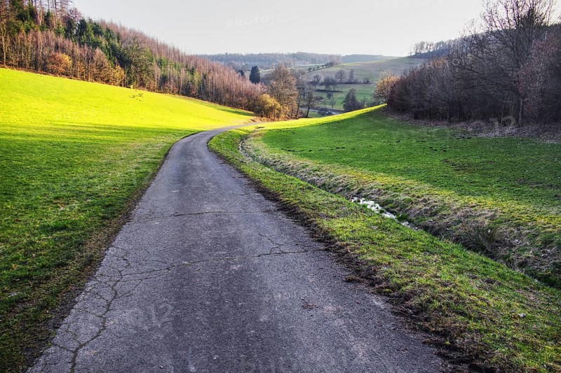 A winding path through a green landscape with hills and forests in the background, Siegen North Rhine-Westphalia