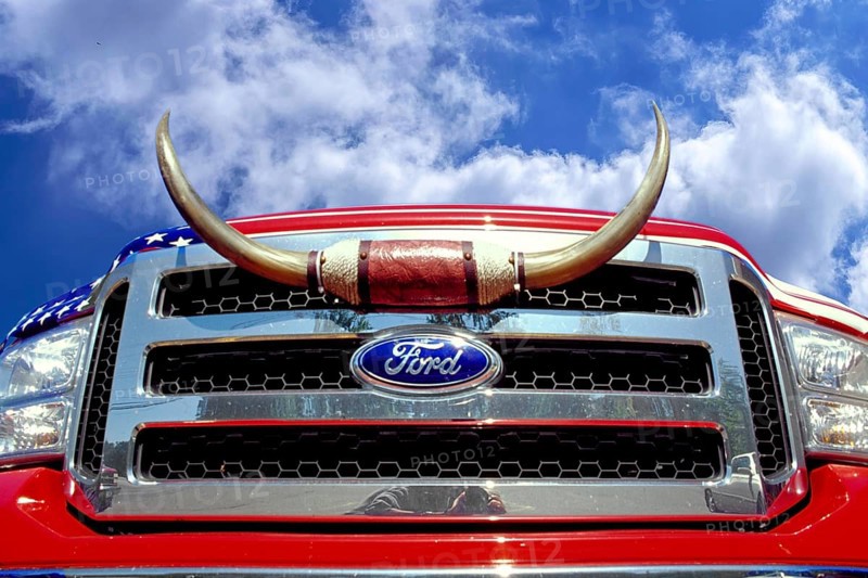 Belongs on the grille of a Ford Pick Up, New Jersey, USA