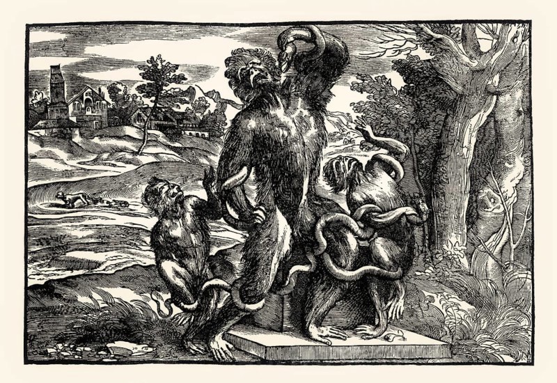 The Laocoon Group as Monkeys, 16th century, by Niccolo Boldrini, after Titian, facsimile of the 19th century
