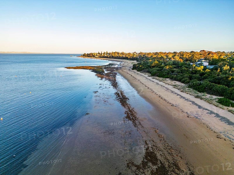 Aerial view of a serene beach at low tide with a lush green coastline in the Great Ocean Road, Australia. The calm waters meet the sandy shore as the sun sets, creating a peaceful coastal landscape