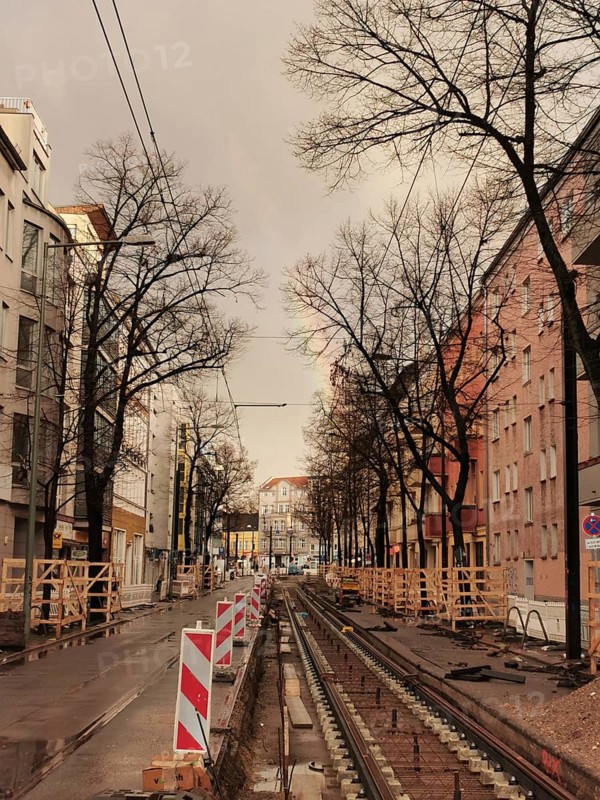 A street with construction site of tram tracks and rainbows populated by bare trees, Pankow, Berlin