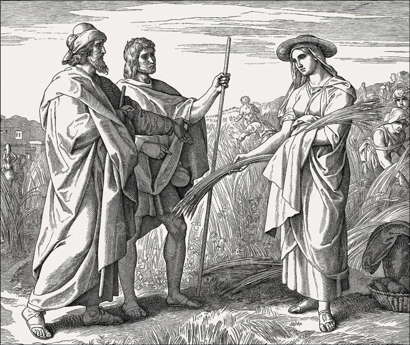 Ruth in Boaz's Field, Old Testament, by Julius Schnorr von Carolsfeld