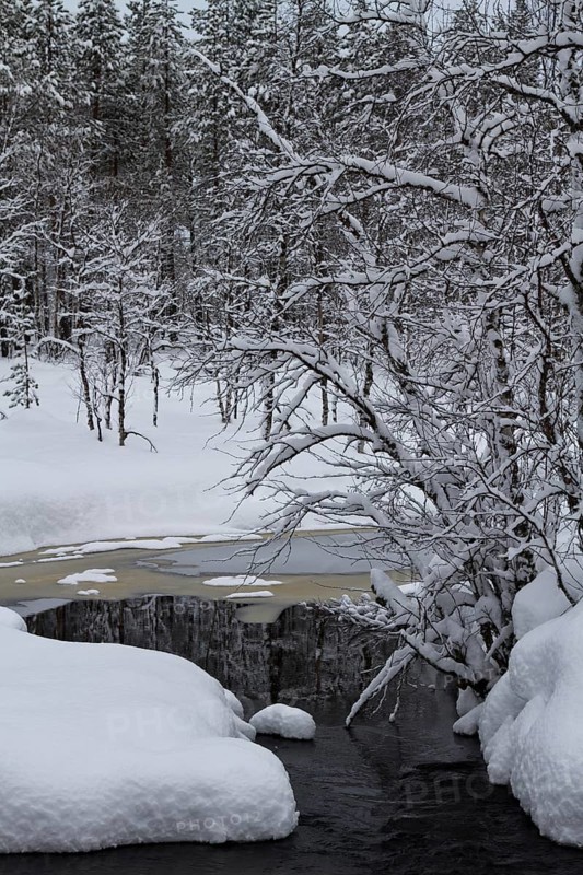 Melt water stream amongst the snow and snow covered branches, spring, Finland
