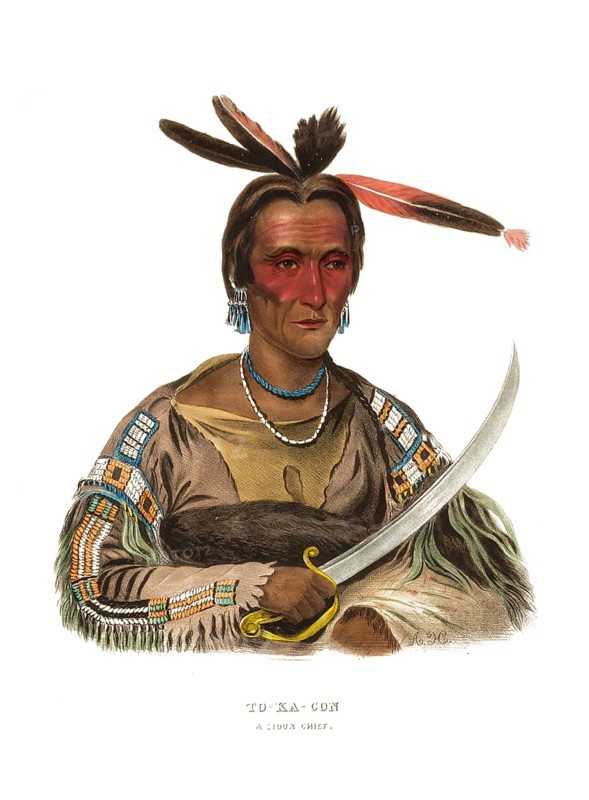 American Indian, Native American, To-Ka-Con, Chief of the Sioux tribe, United States of America, USA, Painting by Charles Bird King (1785, 1862), c. 1840, Historic, digitally restored reproduction from a 19th century original, Record date not stated