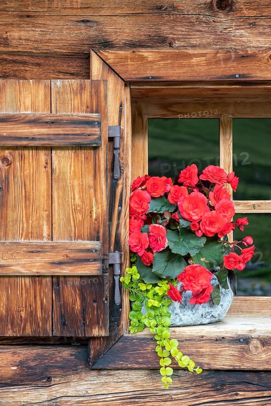 The Ladiz-Alm, the high alpine pasture of the Eng-Alm, window of the alpine hut, Ladiz-Alm, Karwendel Mountains, Tyrol, Austria