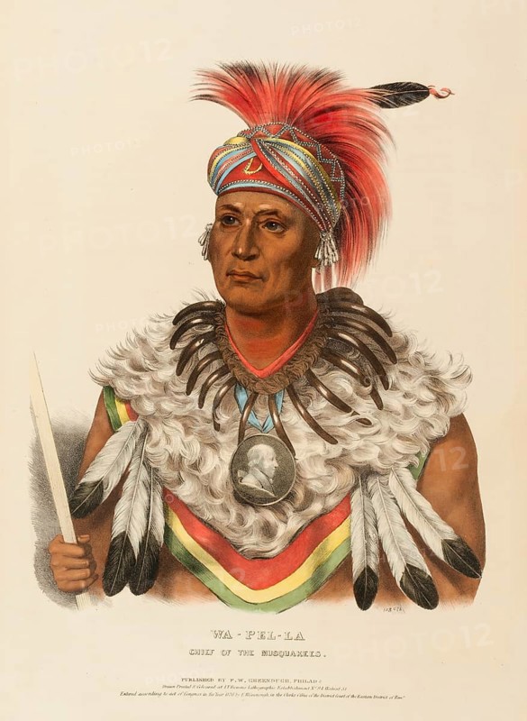 Wa-Pel-La. Chief Of The Musquakees (1838), Indians, Historical Indian tribes from North America, Charles Bird King (1785, 1862), Historical, digitally restored reproduction from a 19th century original, Record date not stated