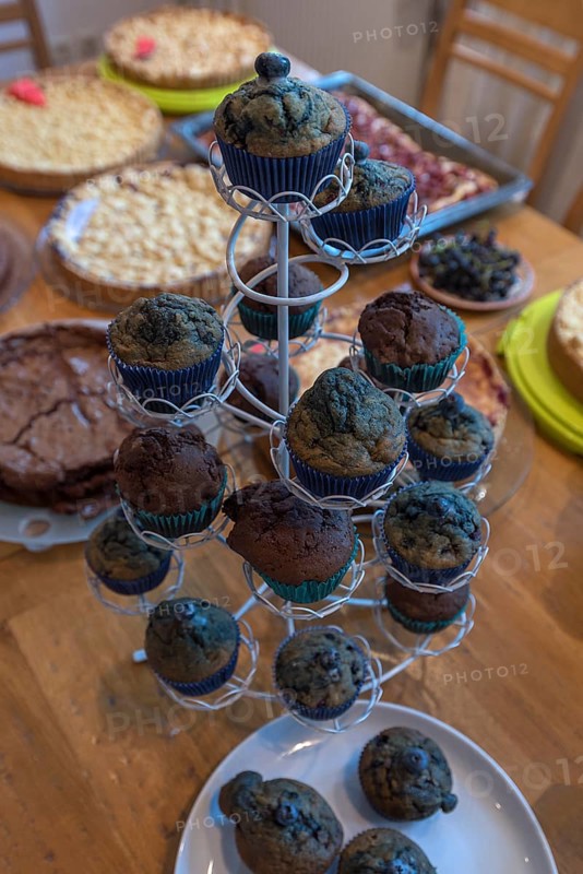 Blueberry muffins on a cake buffet, Lower Saxony, Germany