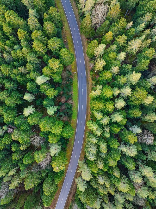 A bird's eye view of the road as it curves through dense green forests, Agenbach, Black Forest, Germany