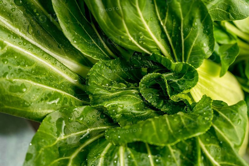 Crisp green bok choy leaves are captured in a close up with refreshing water droplets. The vibrant texture showcases the freshness and organic appeal of the vegetable