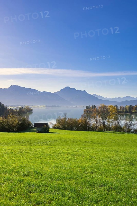 Landscape with lake, grassy meadow and mountains in the background, under a clear blue sky, wooden hut, Forggensee, Ostallgäu, Allgäu, Bavaria, Germany