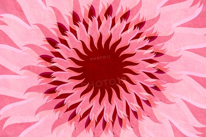 An artistic floral background featuring a layered pattern of pink and red abstract petals in a dynamic burst, ideal for creative projects