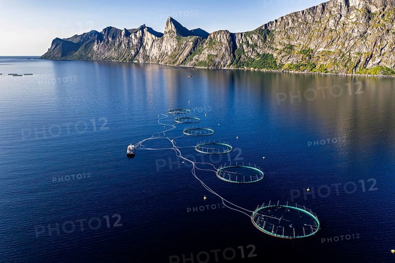 Aerial view of a salmon farm, aquaculture in the Mefjord on Senja island, in the background the peak of famous Segla mountain, Senja, Norway