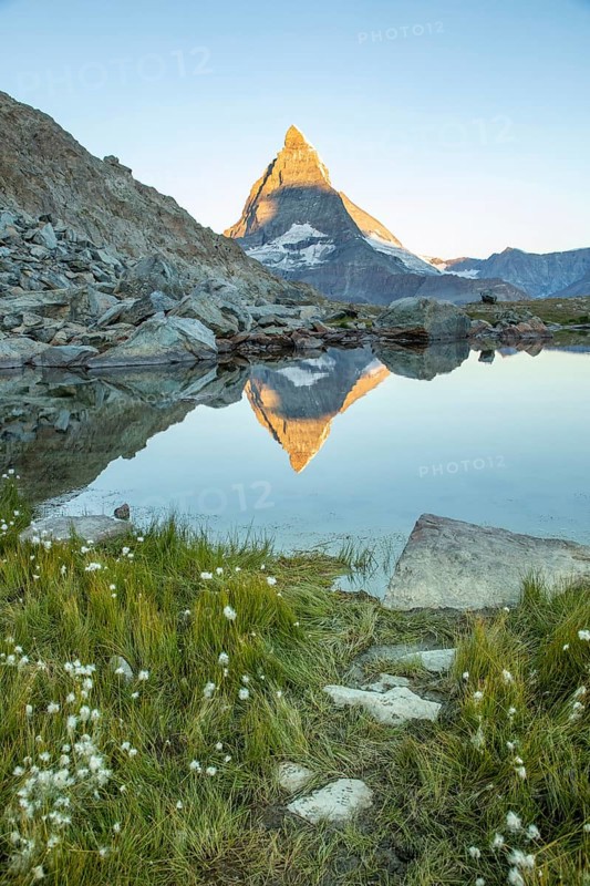 Serene landscape of the Matterhorn in the Swiss Alps, captured at dawn. The iconic peak reflects beautifully in the still waters, surrounded by rugged terrain and lush greenery