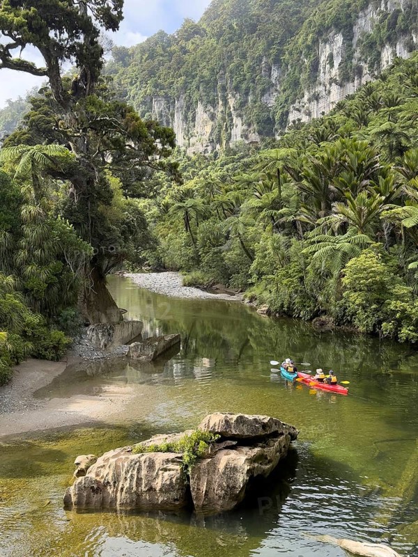 Paddle boats on the Pororari River Track, Paparoa National Park, South Island, New Zealand, Oceania