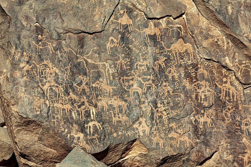 Detailed animal engravings on a rock face, rich in historical art motifs, petroglyphs on rocks in the Sahara in Algeria