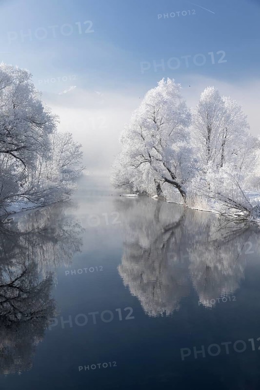 Lake Kochelsee in Bavaria, Germany. River Loisach leaving the lake. Winter, hoar frosted trees standing riverside in fog mixed with sunlight