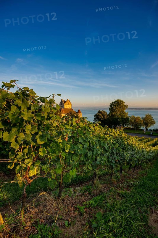 Meersburg Castle, Old Castle, Sunset, Meersburg, Lake Constance, Baden-Württemberg, Germany