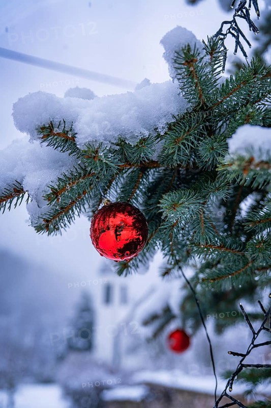 Snow-covered branch with red Christmas bauble, church tower in the background, Enzklösterle, district of Calw, Black Forest, Germany