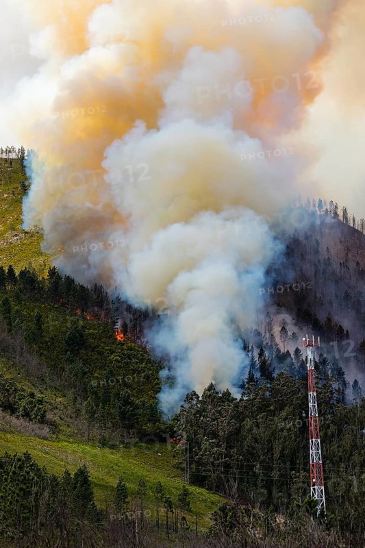 Landscape in South Africa, forest fire, fire, smoke, flames, burning forest, N2, Kou-Kamma Ward 6, Thornham, Kou-Kamma Local Municipality, Sarah Baartman District Municipality, Eastern Cape, South Africa, South Africa