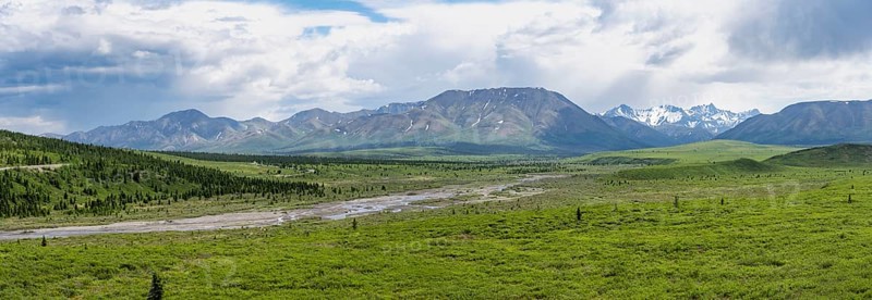 Savage River, tundra and mountainous landscape, Denali National Park, Alaska, USA