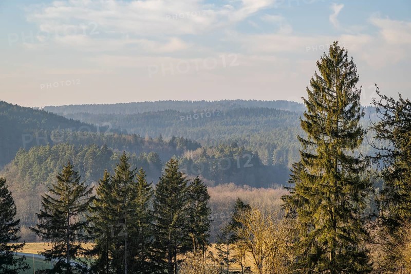 View over the trees and forest of the upper palatinate forest in winter, Bavaria, Germany