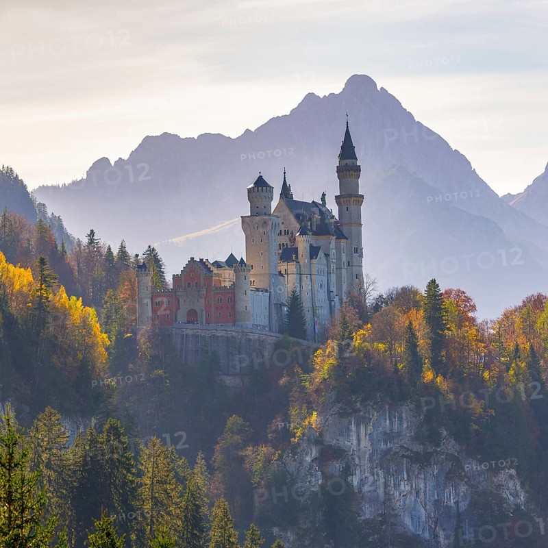 Neuschwanstein Castle in the sunlight, embedded in autumnal landscape, Neuschwanstein, Schwangau, Ostallgäu, Allgäu, Swabia, Upper Bavaria, Bavaria, Germany