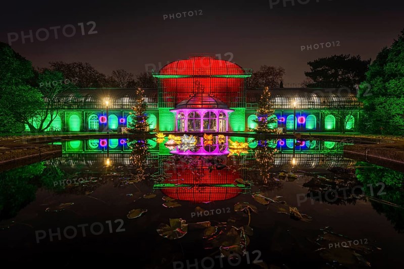 From 9 December 2023 to 14 January 2024, the Palmengarten in Frankfurt am Main will host the Winter Lights for the 11th time. A total of 25 light installations await visitors along a circular route, Palmengarten, Frankfurt am Main, Hesse, Germany
