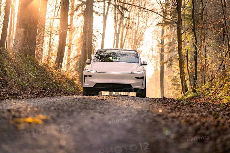White car driving on a gravel road in the forest in sunlight, Tesla, New Model Y, Black Forest, Germany
