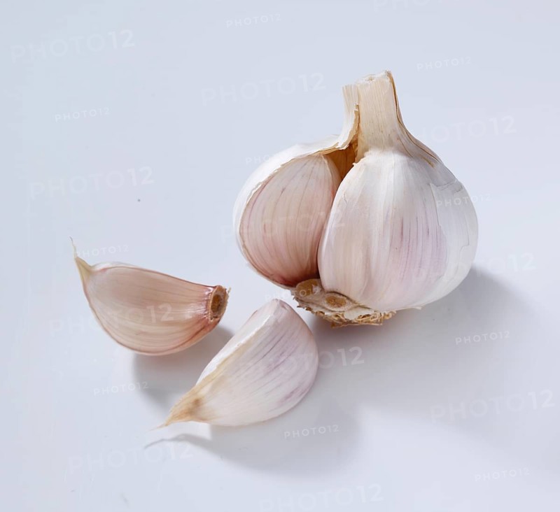 Garlic (Allium sativum), on a white background, studio shot