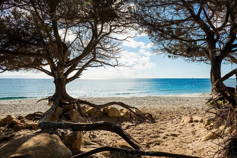 Lonely beach, Spiaggia di Biderosa, Riserva Biderosa nature reserve, Orosei, Nuoro province, east coast, Sardinia, Italy