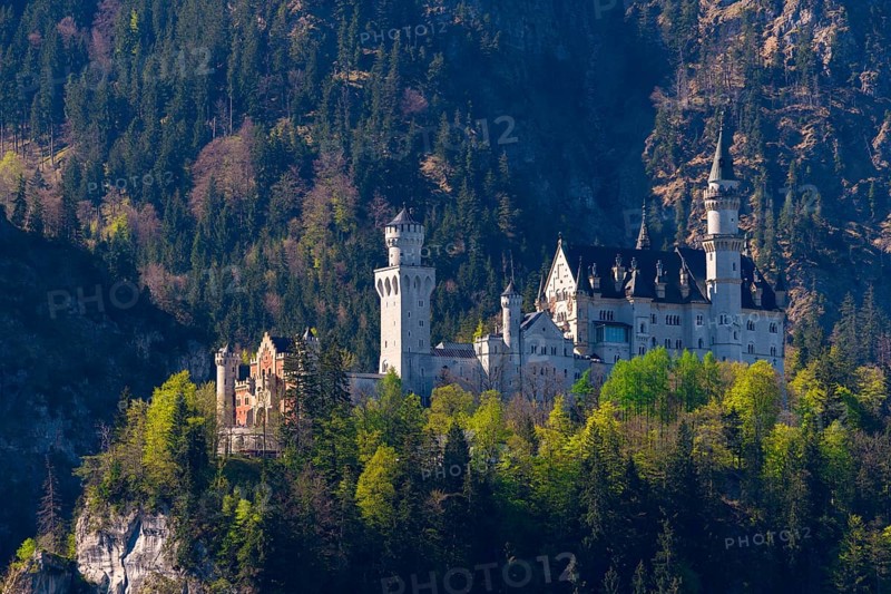 A majestic castle towers high above wooded cliffs, surrounded by unspoilt nature and mountains, Neuschwanstein, Schwangau near Füssen, Ostallgäu district, Swabia, Bavaria, Germany