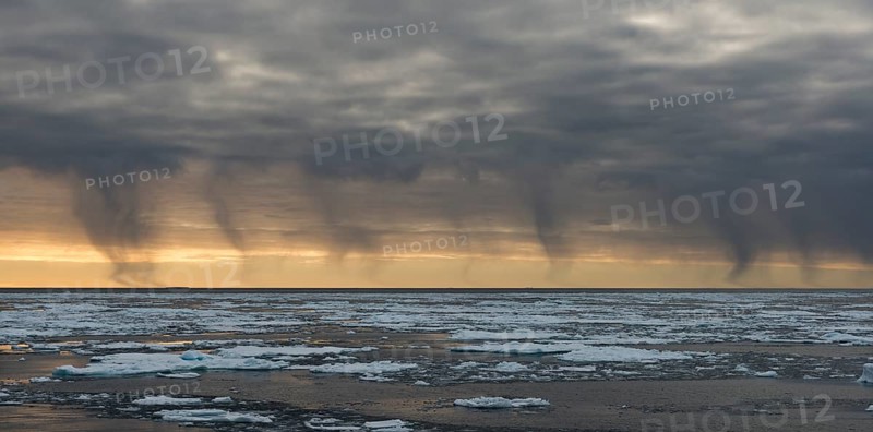 Snow shower from dark clouds, sea ice, pack ice edge, Arctic Ocean, Spitsbergen, Svalbard Islands, Svalbard and Jan Mayen, Norway