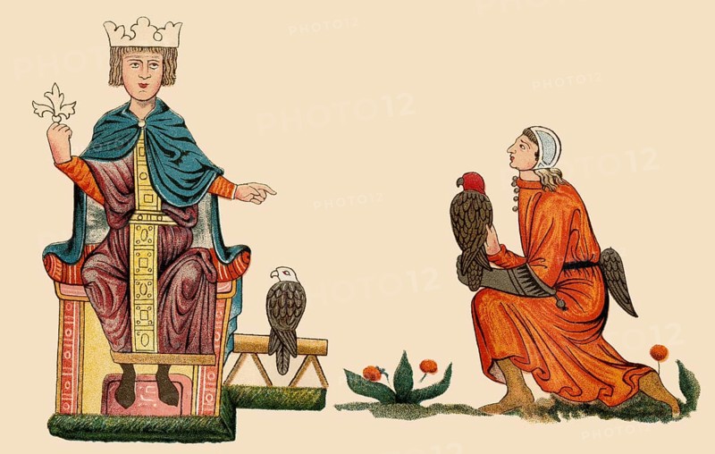 Falconry, Frederick II, Friedrich II., 1194 - 1250, Holy Roman Emperor and King of Sicily, De arte venandi cum avibus, facsimile