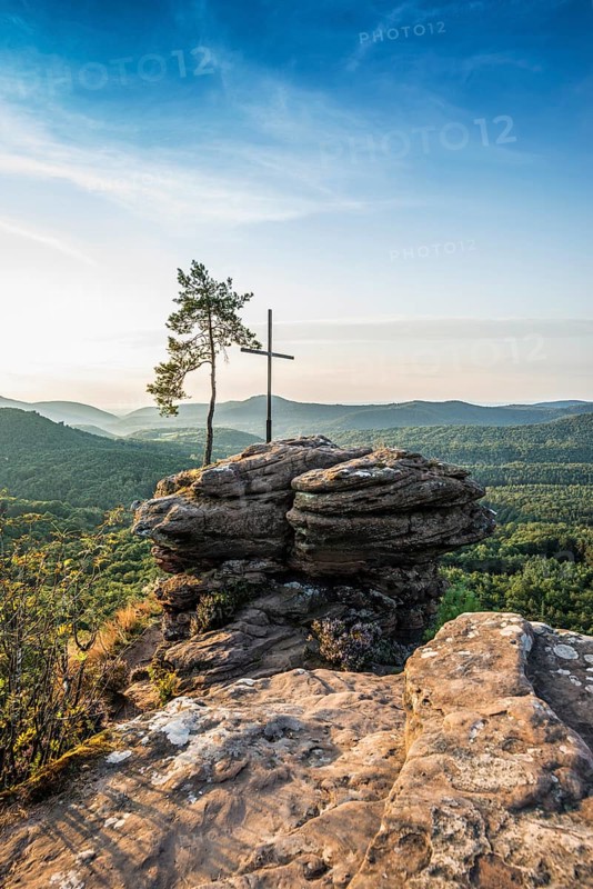 Sandstone rock with pine tree and summit cross, Rötzenfelsen, sunrise, Gossersweiler-Stein, Palatinate Forest, Palatinate Forest, Rhineland-Palatinate, Germany